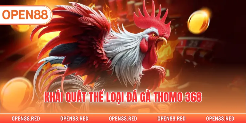 Khái quát thể loại đá gà thomo 368